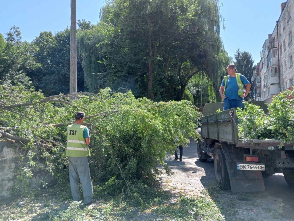 1 У Рівненському тресті зеленого господарства змінився керівник
