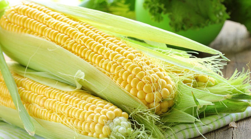 На ринку Рівного з’явилася кукурудза: ціна вища, ніж у сусідньому Луцьку