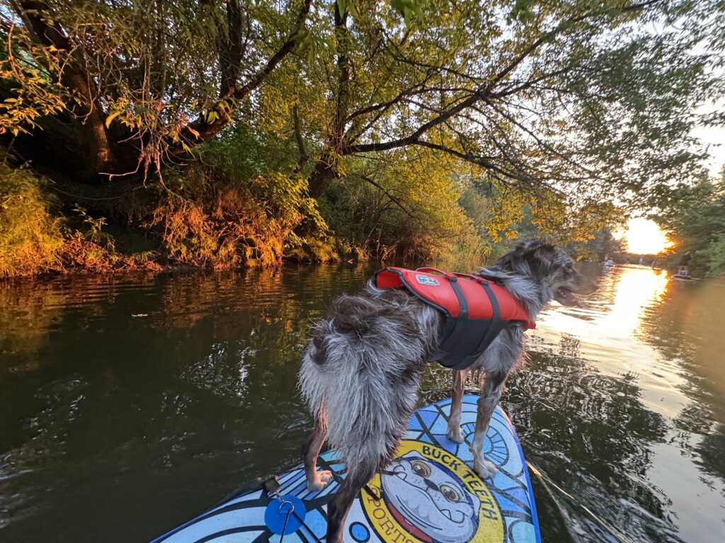1 Куди поїхати відпочити на Рівненщині і поряд з нею літом (ЦІНИ 2025)