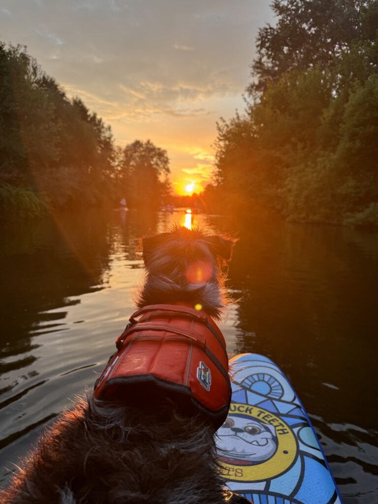 1 Куди поїхати відпочити на Рівненщині і поряд з нею літом (ЦІНИ 2025)