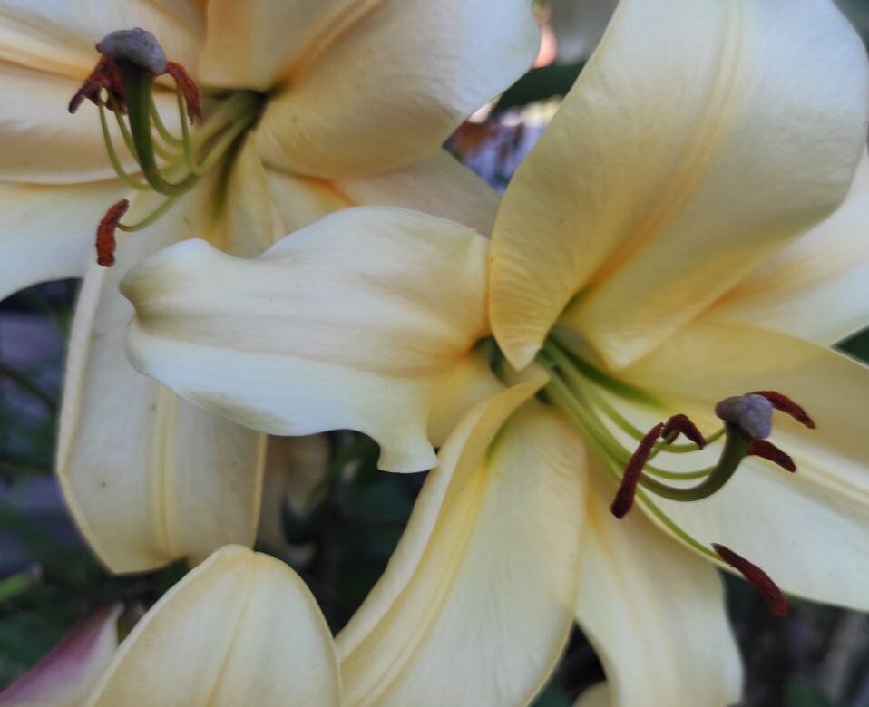 Чи припиняться дощі на Рівненщині: прогноз погоди з 28 липня по 3 серпня