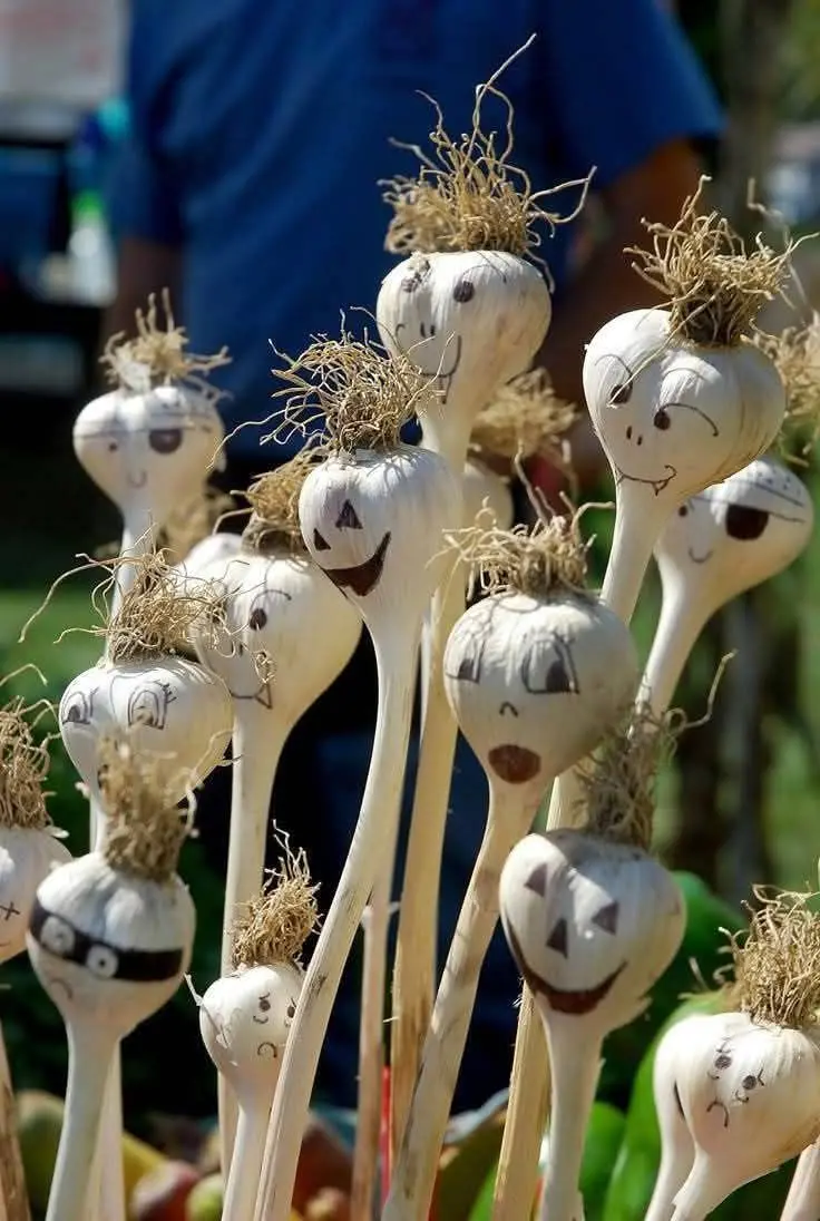 Другий шанс на врожай: що садити на городі в липні під дощі 0000