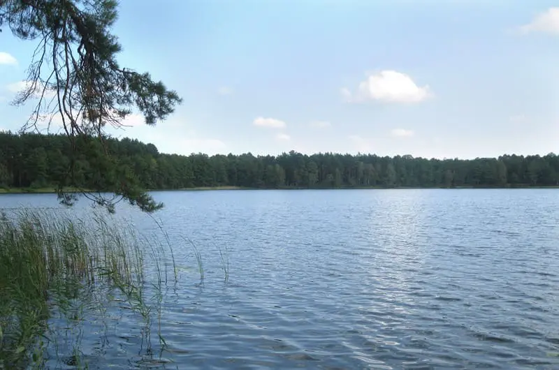 Де на Рівненщині безпечно купатися, а де — ні: результати останніх досліджень