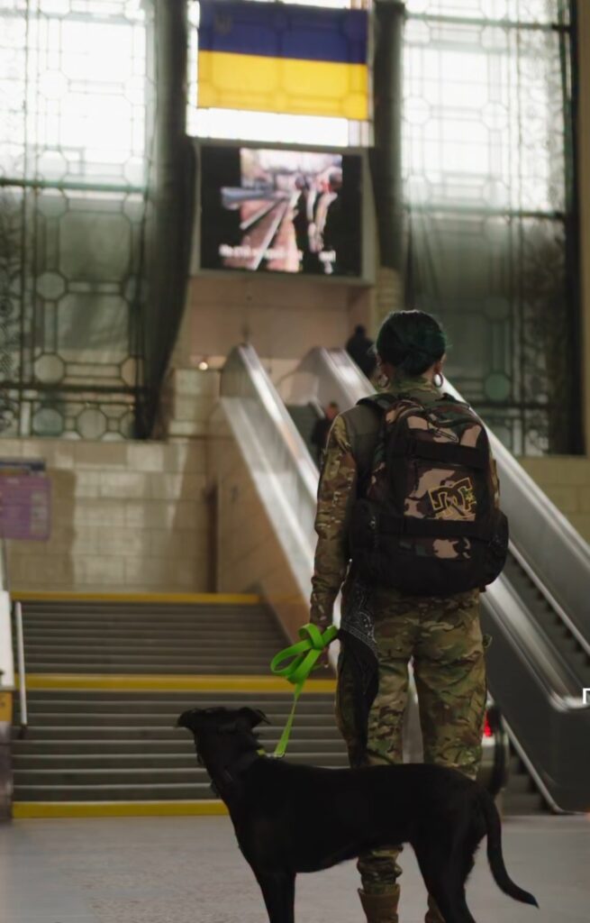 1 Укрзалізниця змінила правила: що тепер з перевезенням великих собак