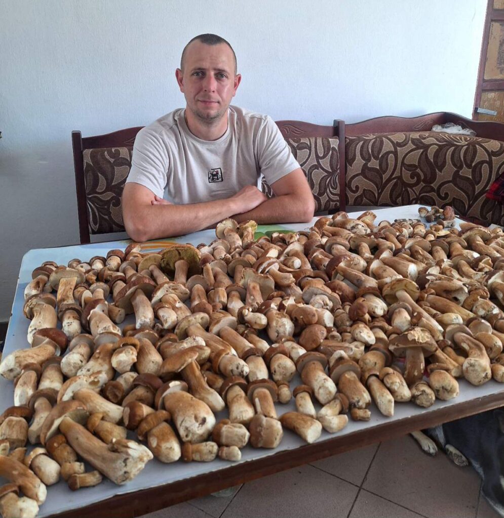 1 На Рівненщині почався грибний сезон: кошики повні білих, лисичок і маслюків