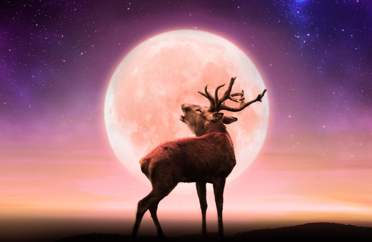 10 липня – Повний “Оленячий” Місяць зрушить усе: на чию долю вплине ( поради та гороскоп для кожного знака )