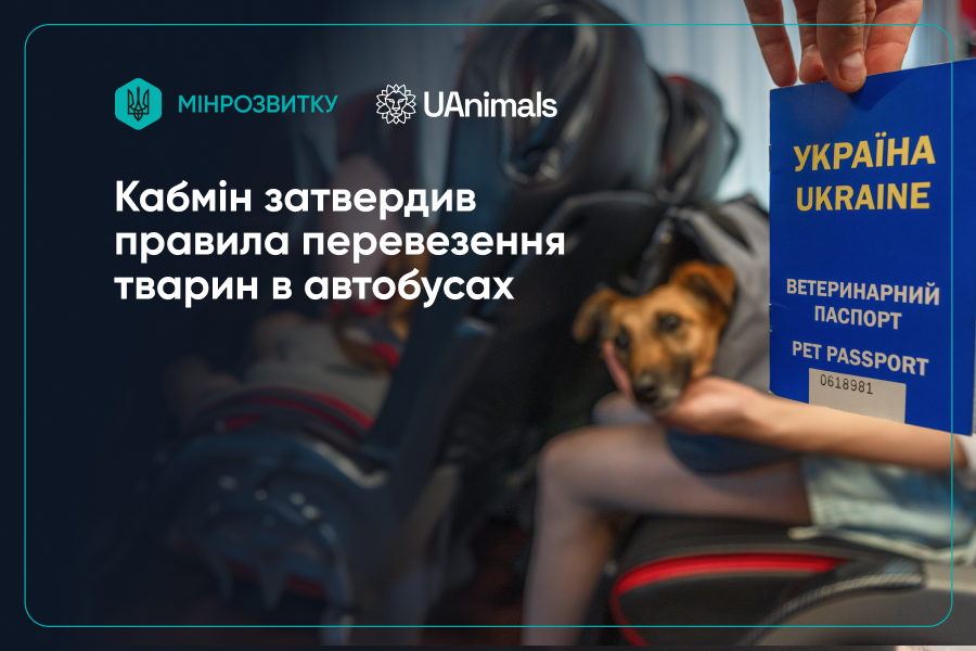 Без паспорту не повезуть: Кабмін затвердив нові правила перевезення тварин в автобусах