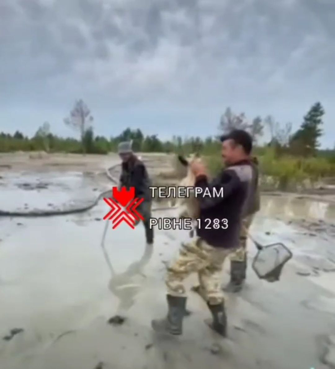 На Рівненщині чоловік знущався з собаки – поліція відкрила кримінальну справу 0000