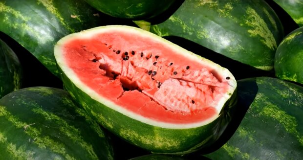 3 серпня — День кавуна: яка ціна на соковиту ягоду в Рівному сьогодні