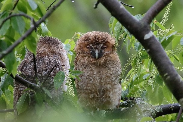 Рівненщина: Погода на 26-29 серпня – від осінньої прохолоди до літньої спеки +30°