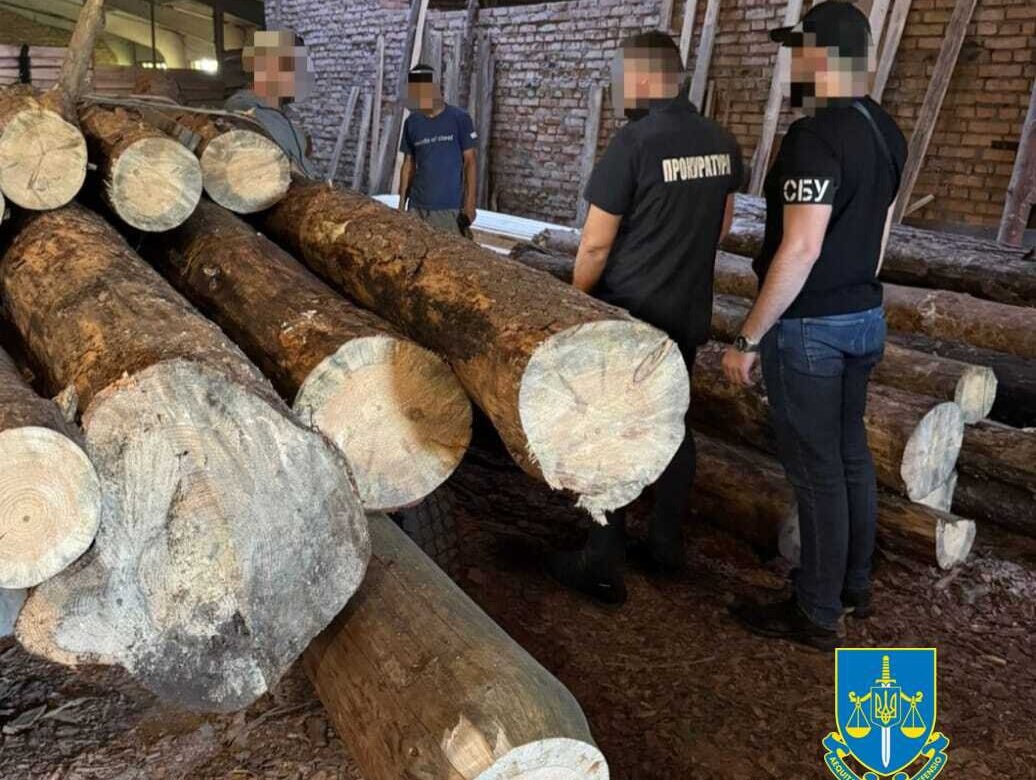 Майстер лісу на Рівненщині «заробив» майже мільйон гривень на незаконній вирубці дерев