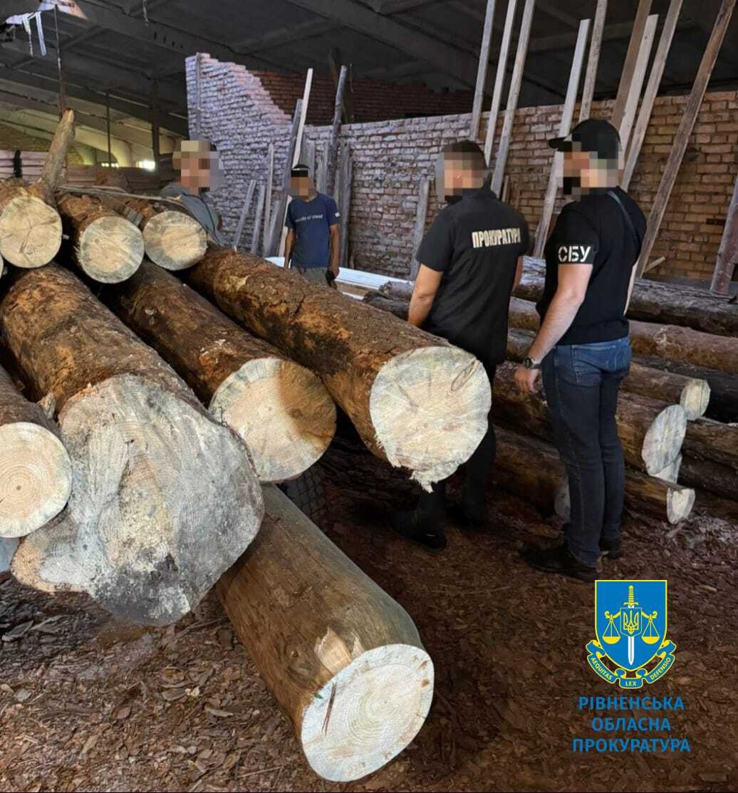 Майстер лісу на Рівненщині «заробив» майже мільйон гривень на незаконній вирубці дерев 0000