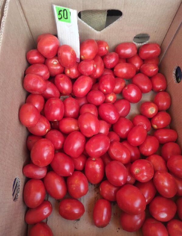 На Рівненщині – рекордні ціни на томати: з чим це пов’язано та які прогнози на врожай