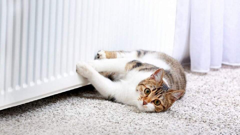 Перша громада на Рівненщині вмикає тепло: хто відчує його вже завтра