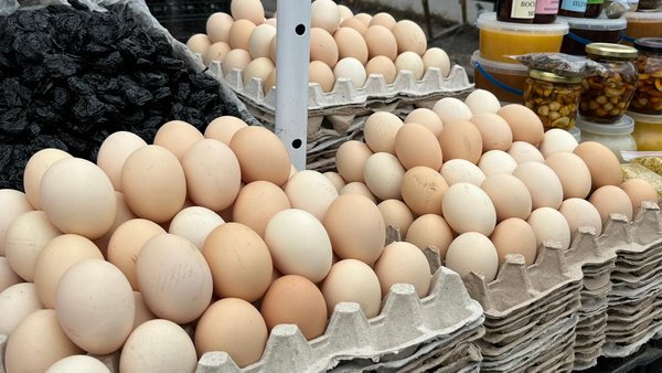На Рівненщині яйця стали дорожчими: скільки коштують і чому піднялися ціни 0000