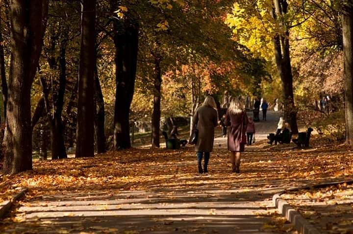 Теплий вересень та сніжний листопад: яка погода очікує Рівненщину цієї осені