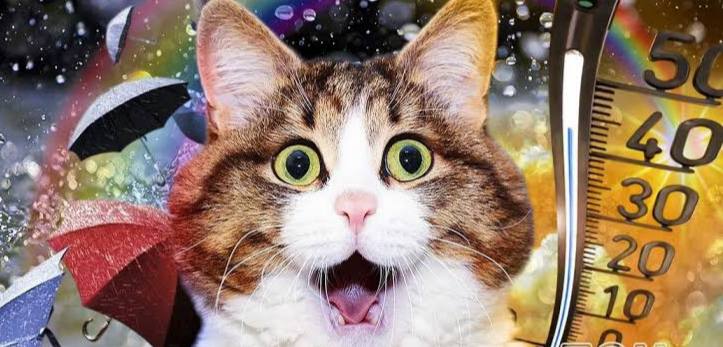 Що чекати від погоди у Рівному на вихідні: прогноз синоптиків