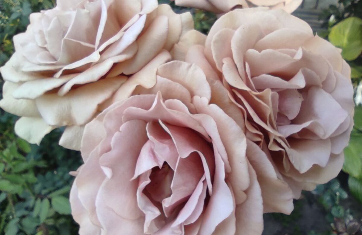 Яким буде перший тиждень осені на Рівненщині: детальний прогноз погоди