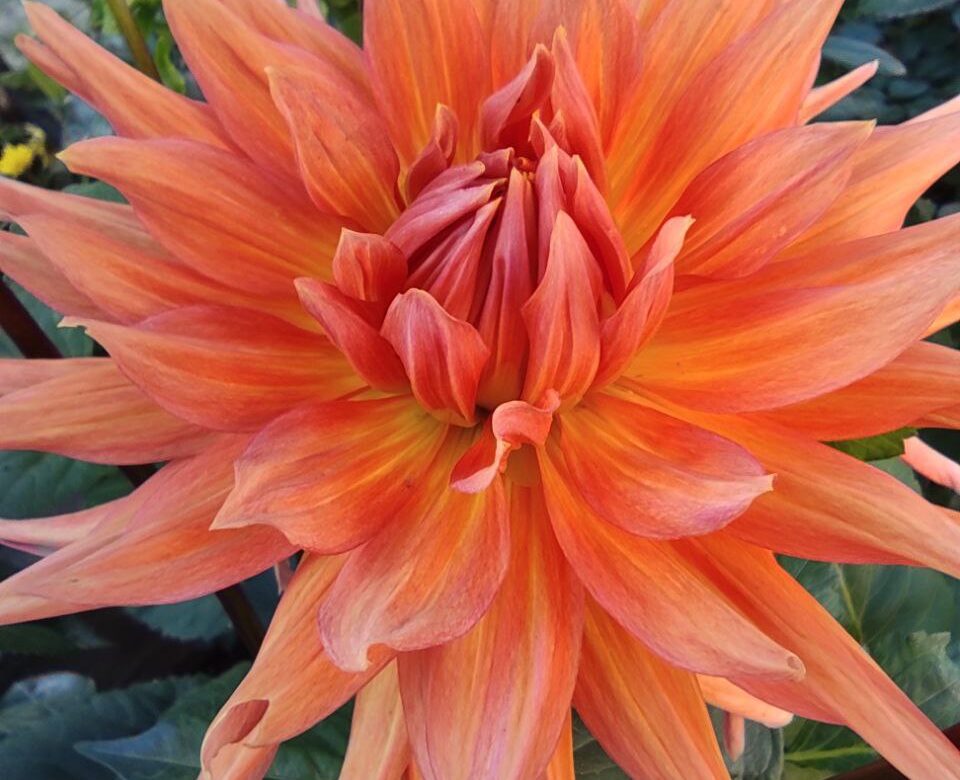 На Рівненщину йде справжня осінь: різке похолодання та дощі вже цього тижня