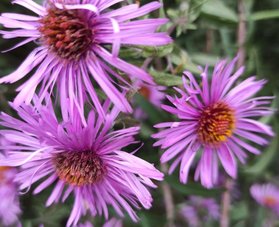 Знову тепло: синоптики розповіли, коли на Рівненщину прийде потепління