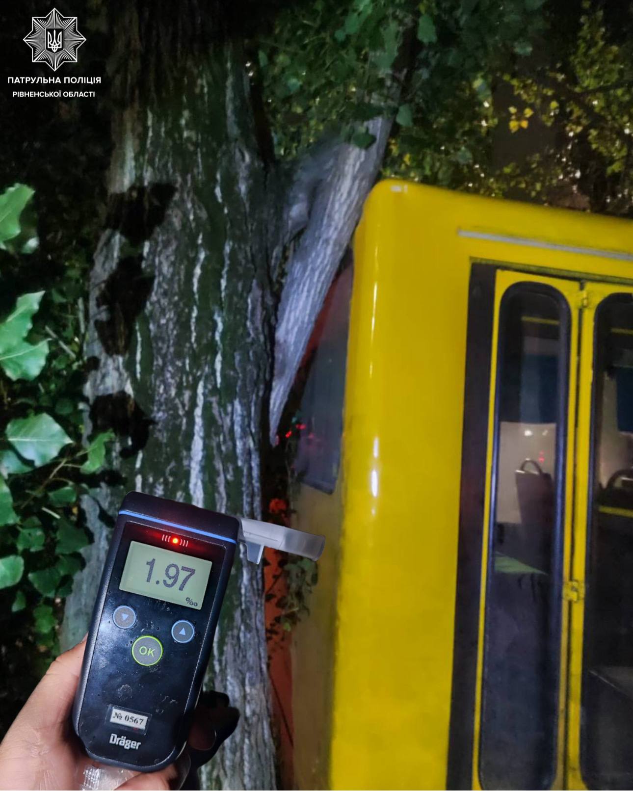 У Рівному п’яний перехожий викрав маршрутку і врізався в дерево 0000