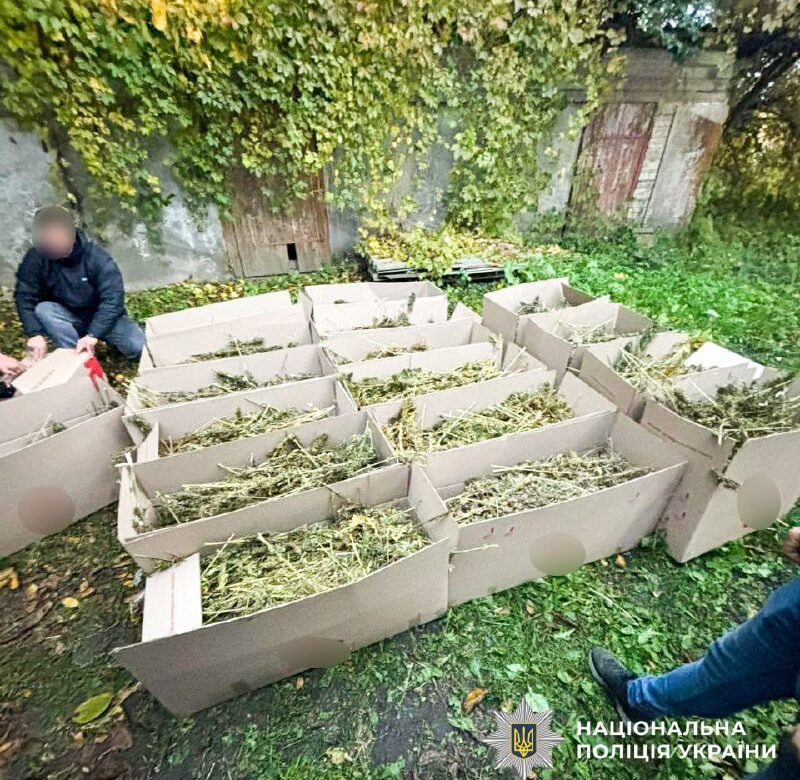 У Рівному викрили двох чоловіків, які зберігали 180 кг канабісу на понад сім мільйонів гривень