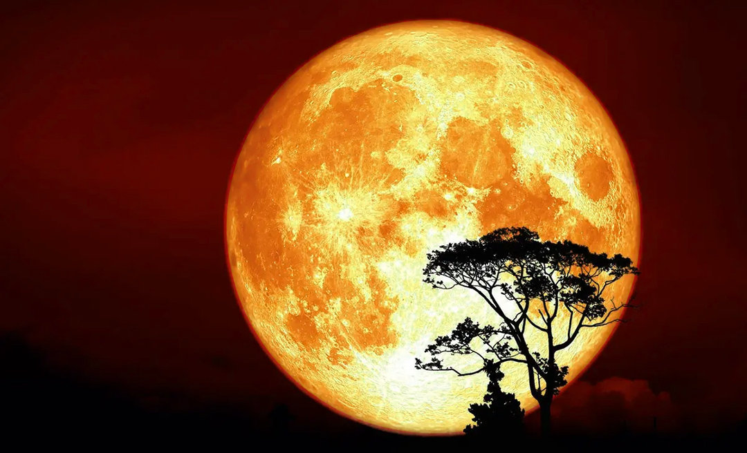 Супер Повня 7го жовтня: переломний момент осені – чию долю змінить Місяць (ритуали та гороскоп для кожного знака)