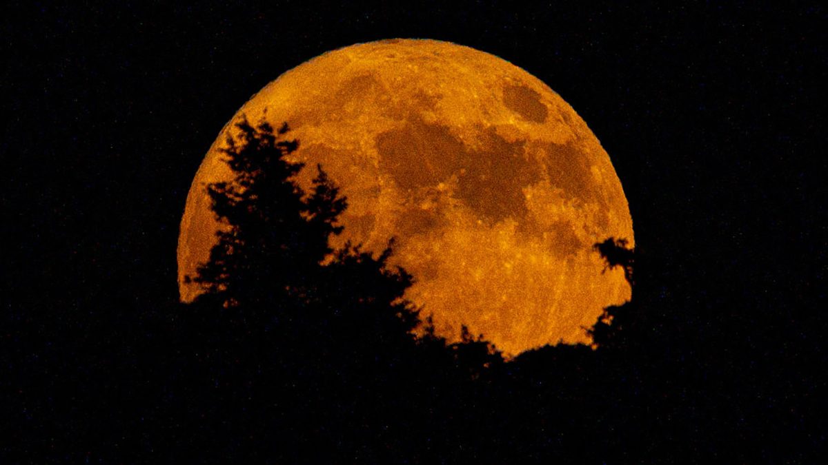 Містична Повня 5 листопада: як Бобровий Місяць вплине на долю (ритуали та прогноз для кожного знака)