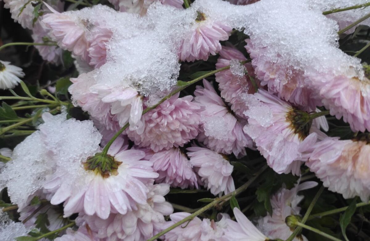 Якою буде погода на Рівненщині в останній тиждень осені: прогноз синоптиків