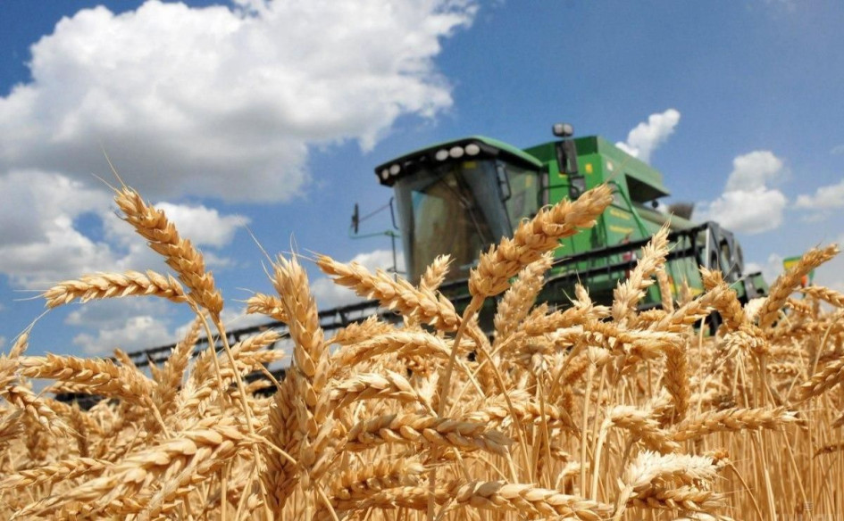 Гроші від держави вже на підході: хто на Рівненщині отримає компенсації