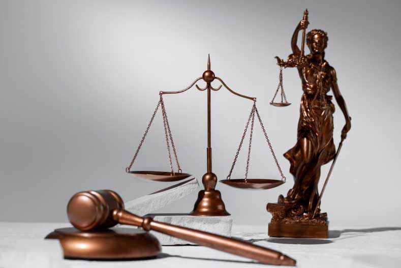 Скільки адвокатів захищають мешканців Рівненщини: статистика до професійного свята