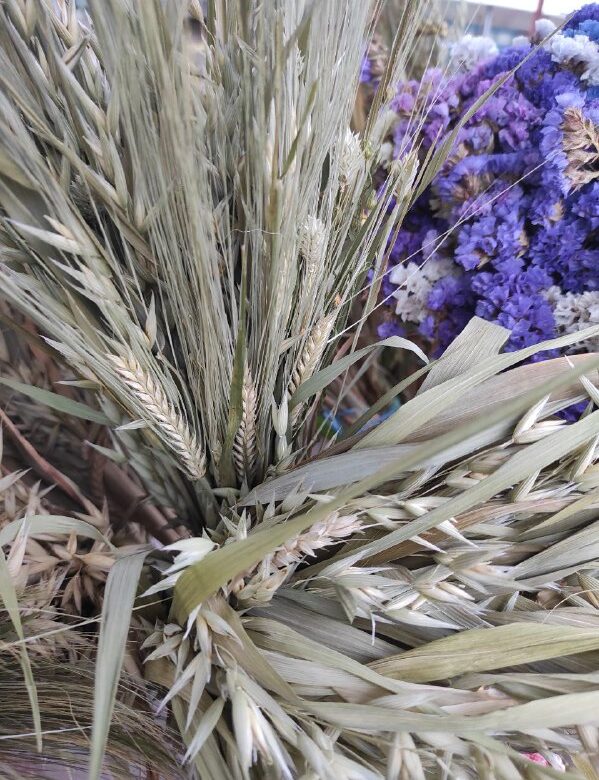 На Рівненщину сунуть морози: на Різдво очікується найхолодніший день тижня