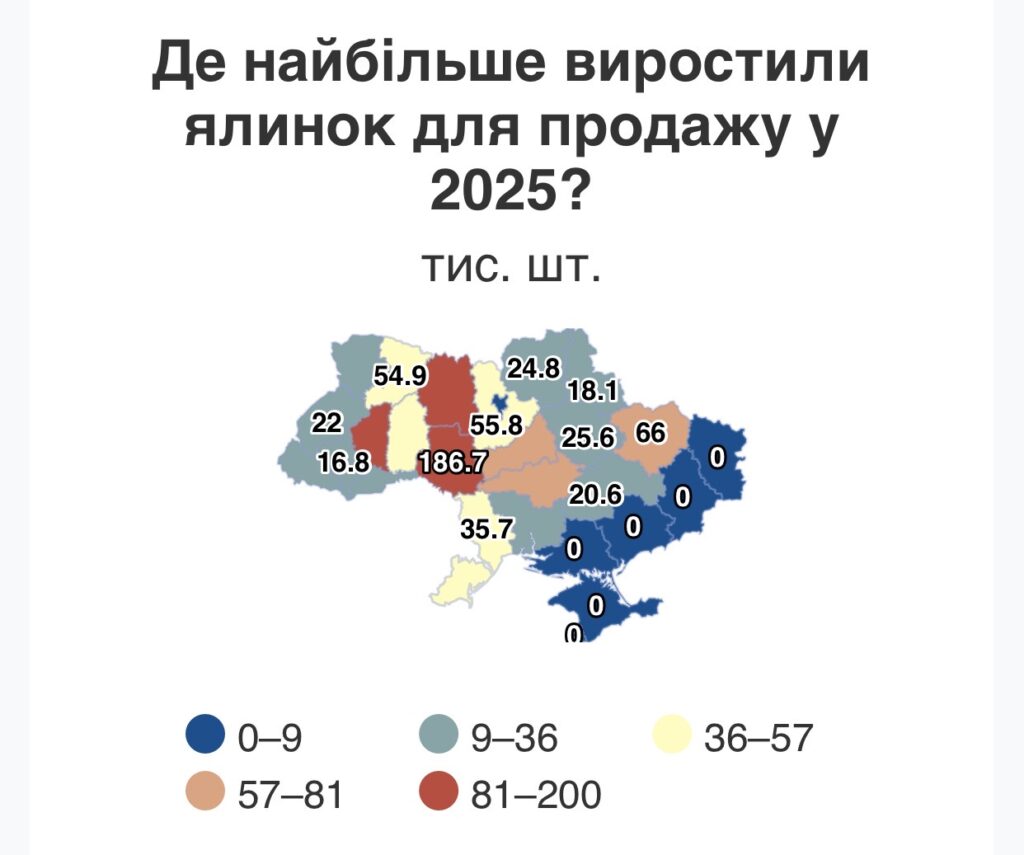 1 Ялинок купують менше, але Рівненщина в топі: область посіла 4 місце в Україні
