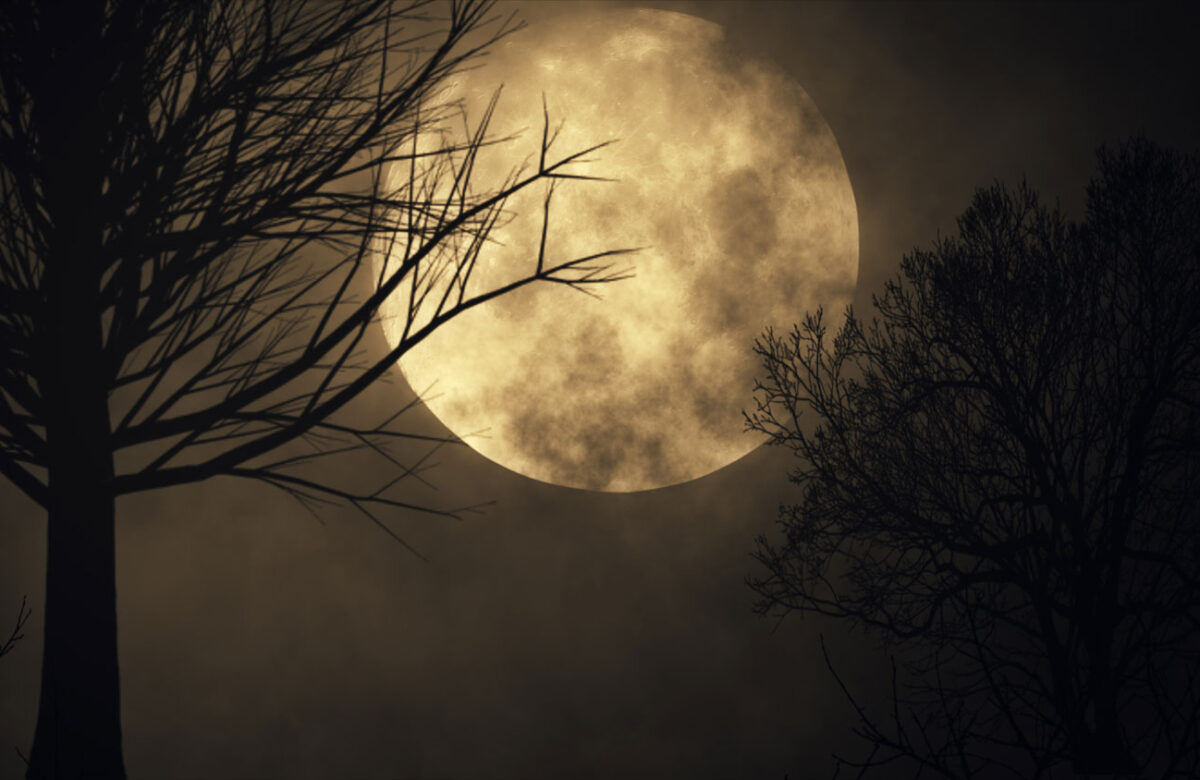 Остання Повня 2025: чию долю змінить “Холодний” Місяць 5 грудня (ритуали та гороскоп для кожного знака)