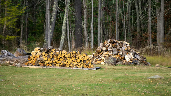 Шахрайство на дровах: як жителі Рівненщини втратили десятки тисяч гривень і де безпечно купувати паливну деревину