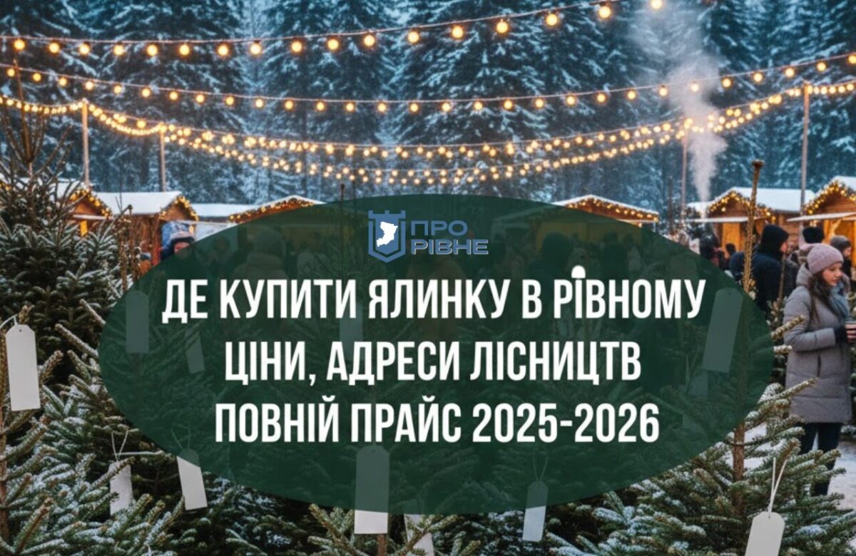 Де купити живу ялинку в Рівному: ціни, адреси лісництв та повний прайс 2025-2026