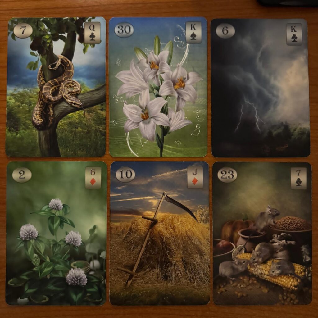 1 Прогноз тижня 26 січня - 1 лютого 2026 року: що віщує Ленорман – обери свою карту