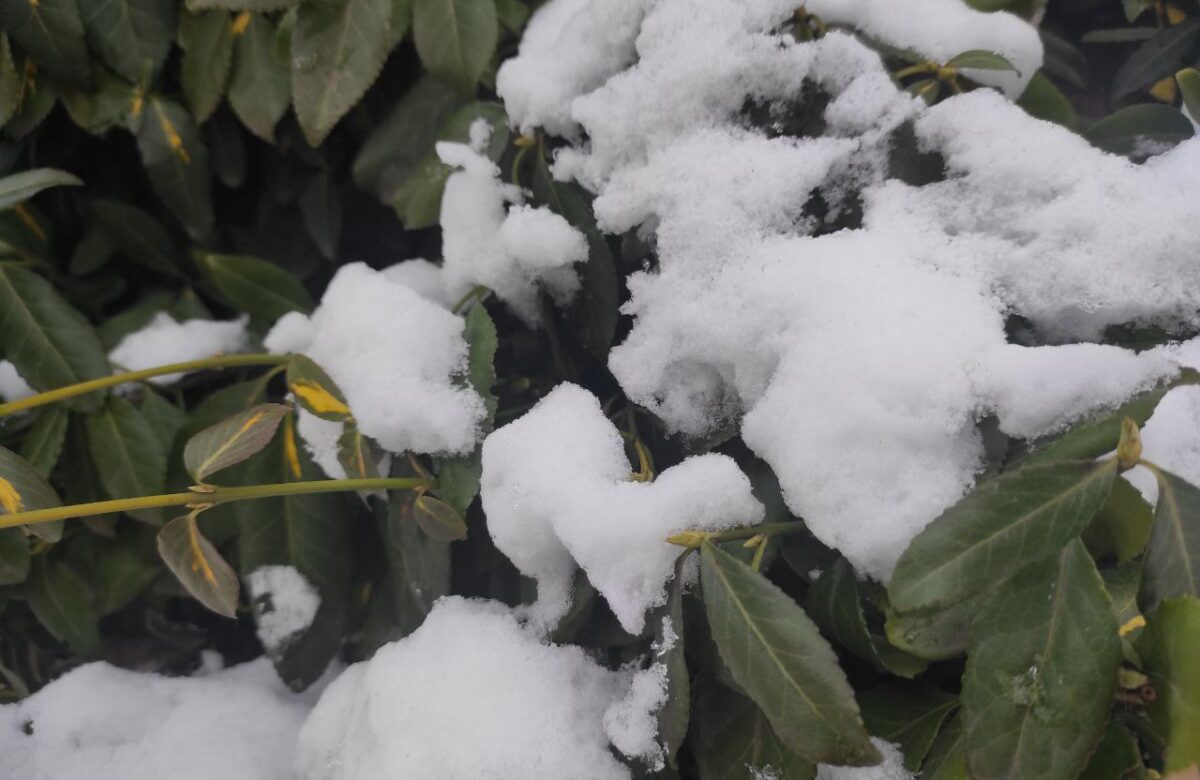 Рівненщину скують люті морози: синоптики попередили про різке зниження температури