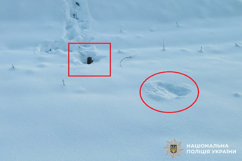 На Рівненщині знешкодили міни, які «шахеди» скинули під час останніх тривог (+ФОТО, ВІДЕО)