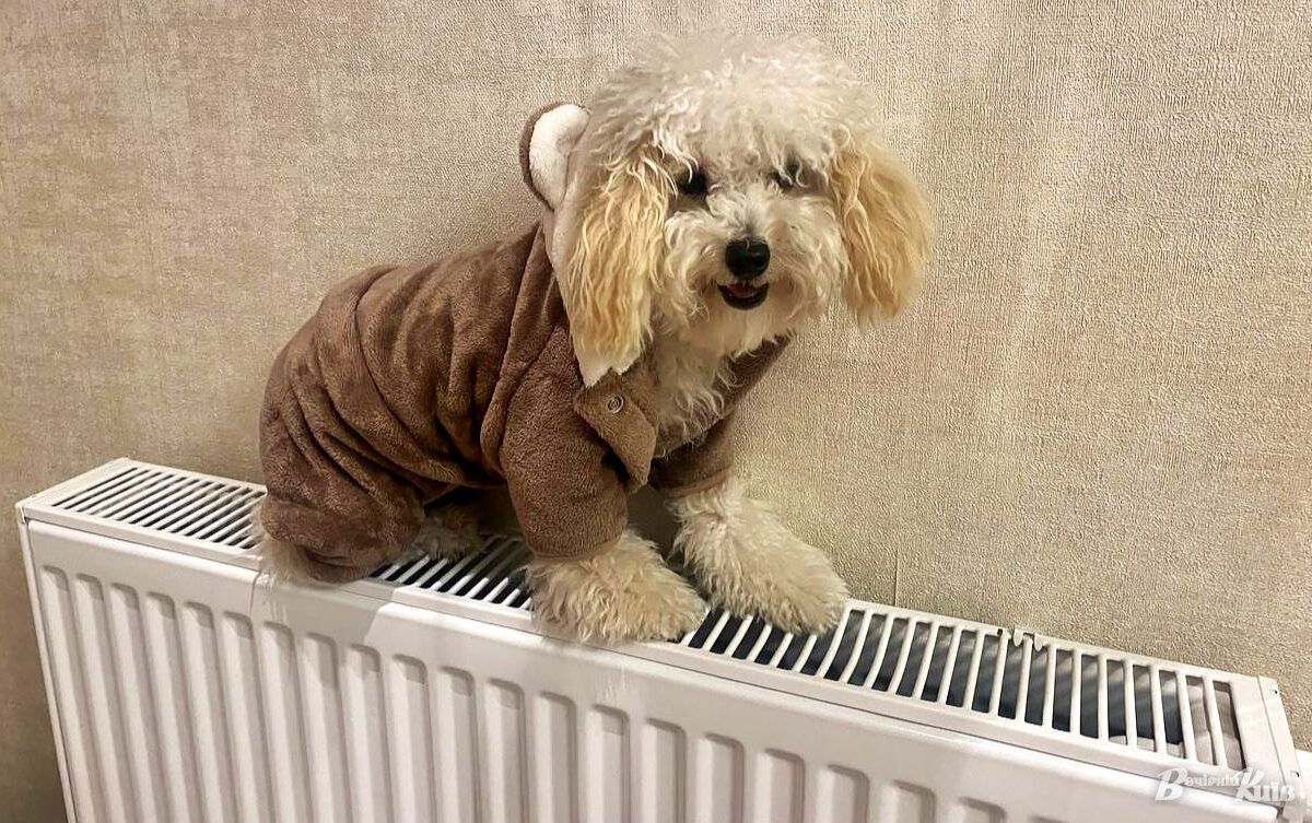 У центрі Рівного знову тепло: аварію на магістральній мережі ліквідували