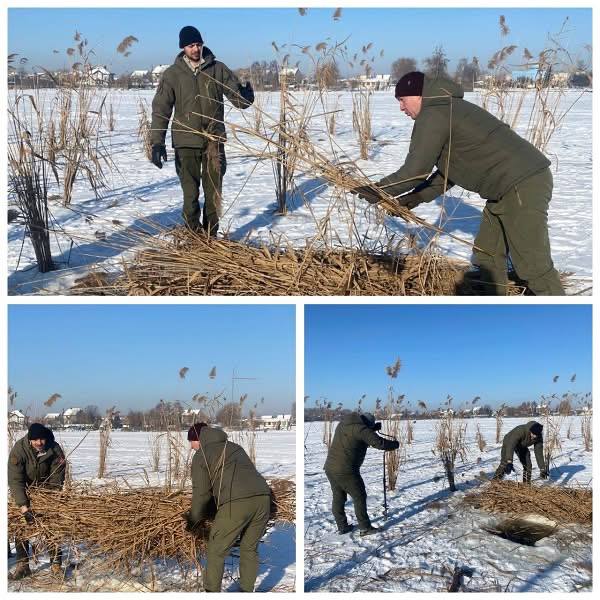 1 Риба у водоймах Рівного може загинути: чому б’ють на сполох і що роблять просто зараз