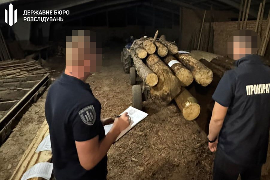 Незаконні рубки на Рівненщині: лісник ховав пеньки, збитки — майже мільйон