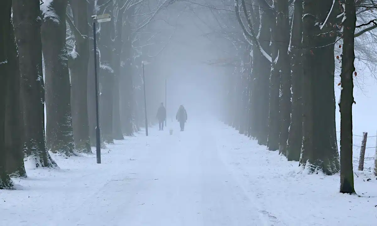 Якою буде погода на Рівненщині на вихідні та як уберегтися