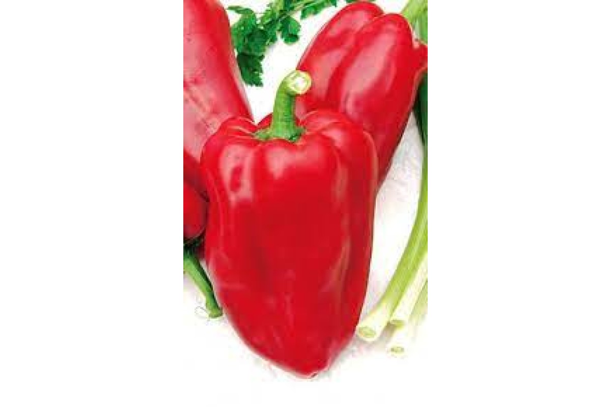 1 Найродючіші сорти солодкого перцю 2026 року які варто посадити
