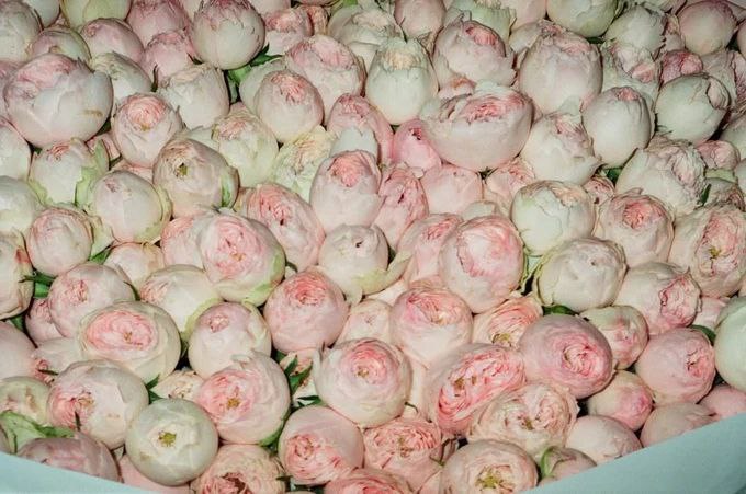 1 Гігантський букет та обручка з чималим камінцем: зірка хіта «Смарагдове небо» DREVO одружується зі своєю менеджеркою (ФОТО)