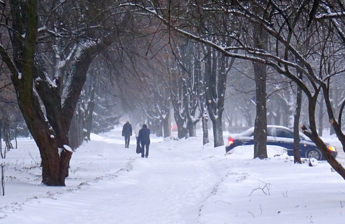 Зима йде на спад: коли на Рівненщині очікувати потепління (ПРОГНОЗ)