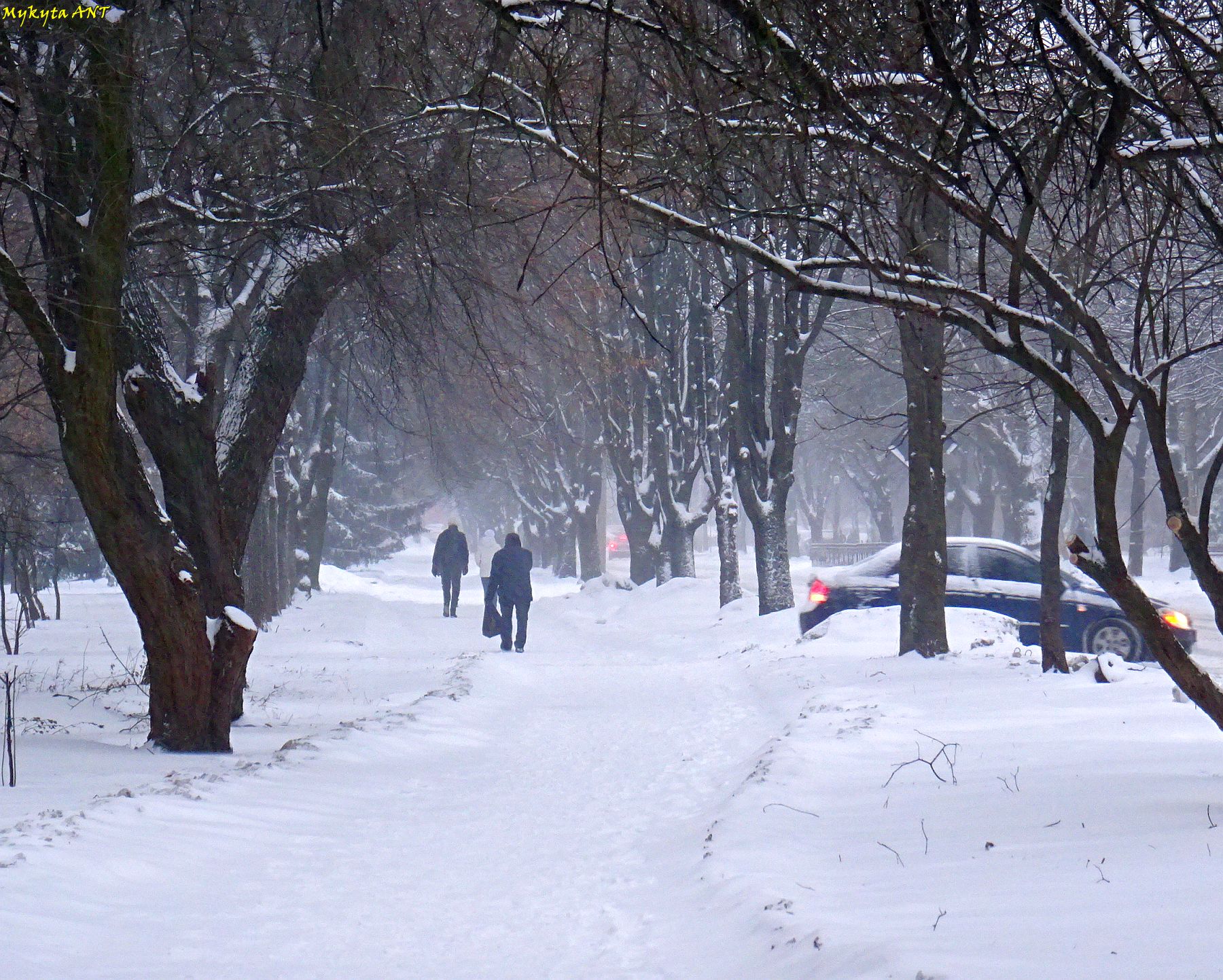 Зима йде на спад: коли на Рівненщині очікувати потепління (ПРОГНОЗ) 0000