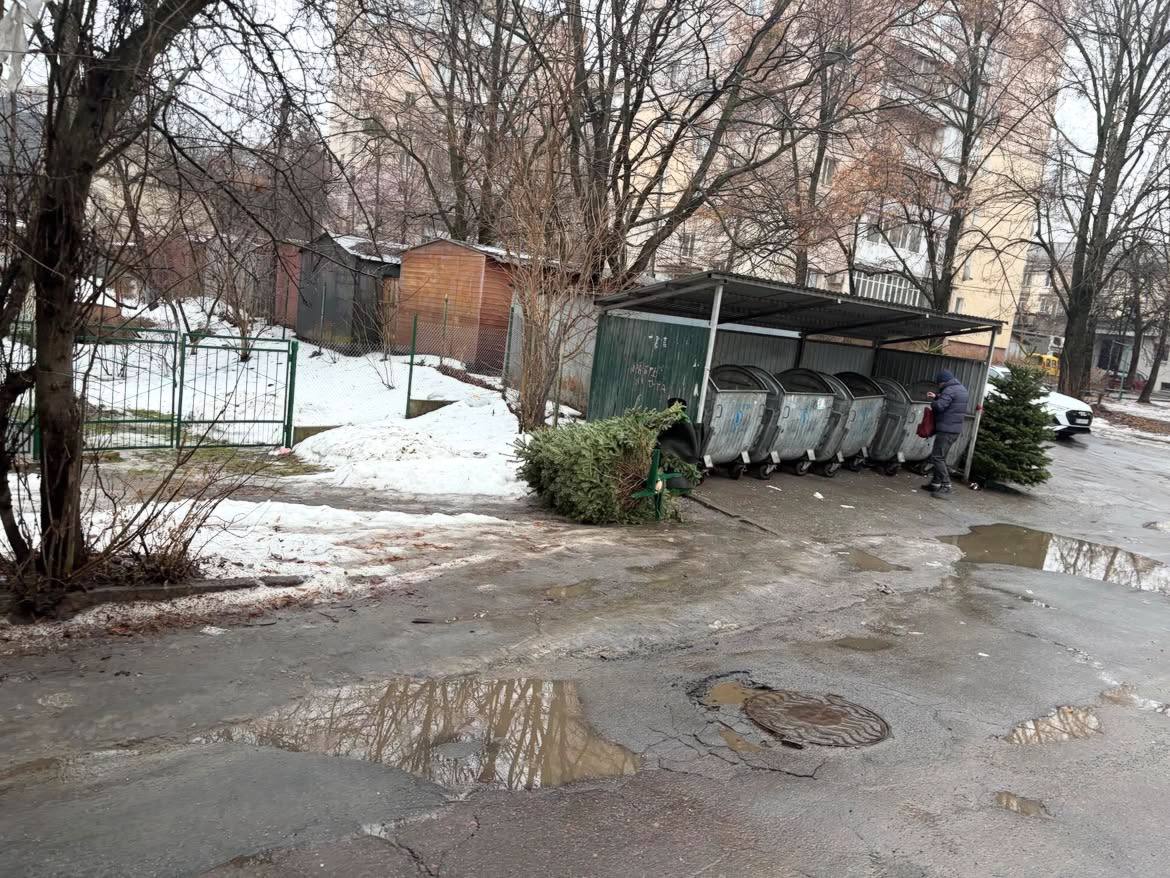 1 У Рівному наприкінці лютого досі валяються новорічні ялинки поблизу смітників