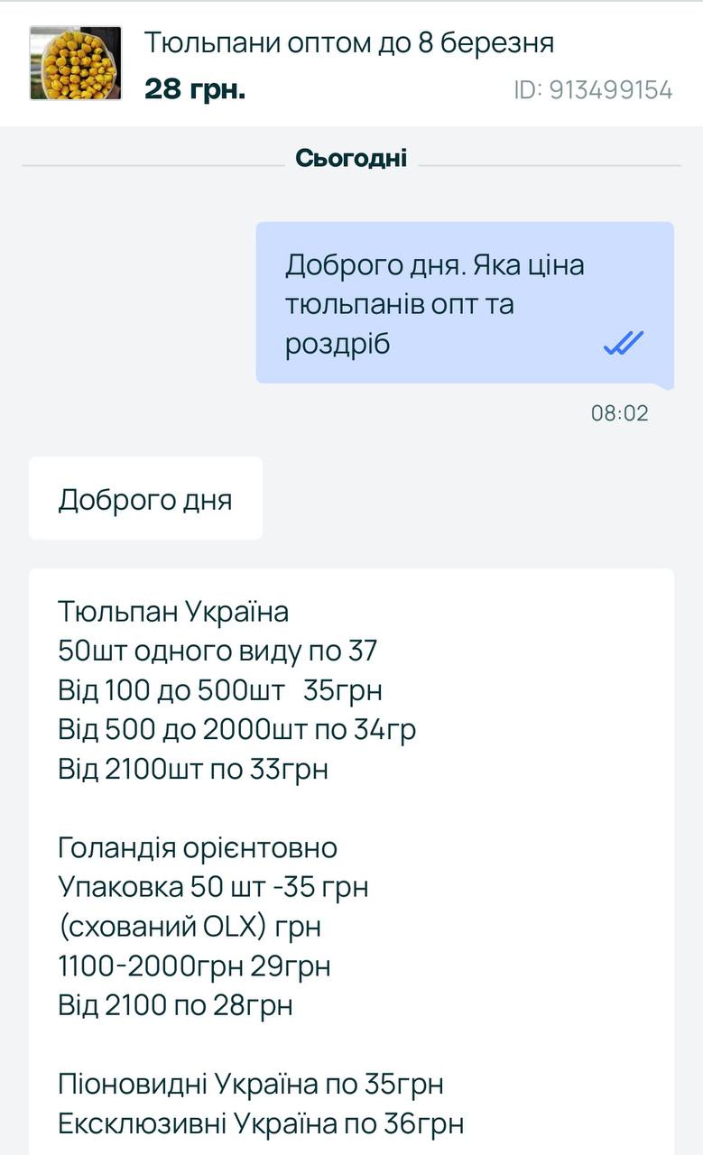 1 У Рівному почали продавати тюльпани до 8 березня і назвали перші ціни