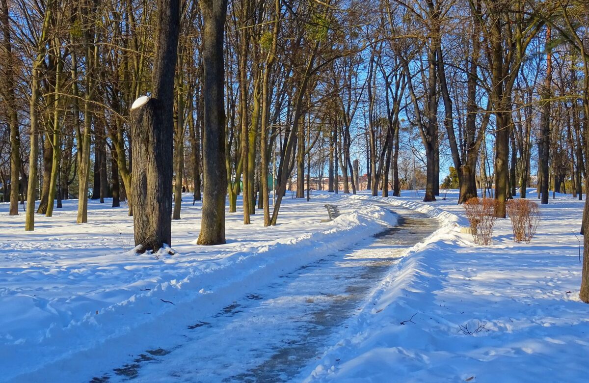 Після тривалих морозів на Рівненщину йде весняне потепління